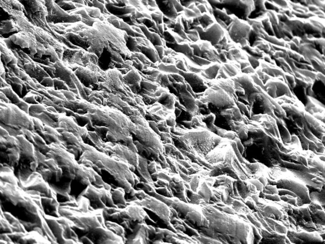glass under microscope
